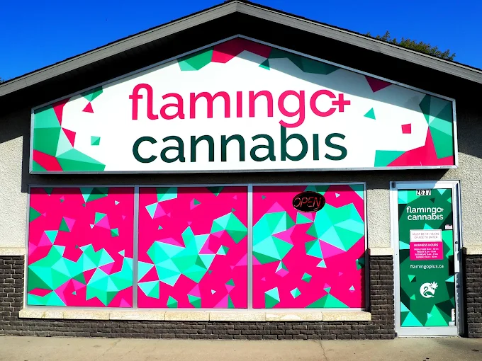 Flamingo + Cannabis - Flamingo + Cannabis - Brandon store front