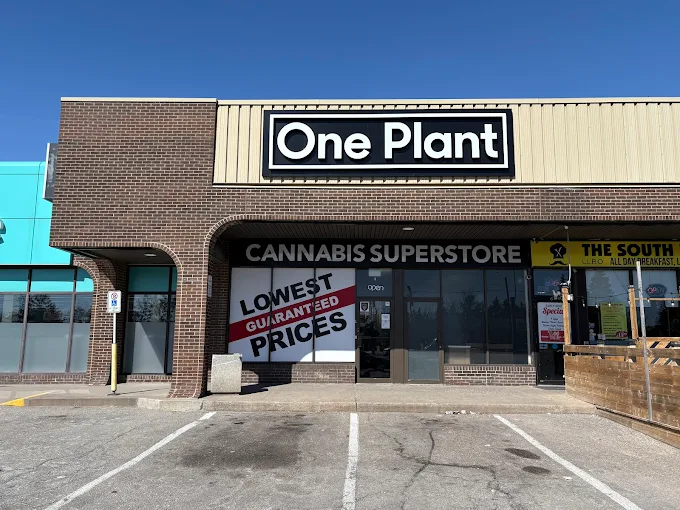 One Plant - One Plant - Ajax - Westney Road store front