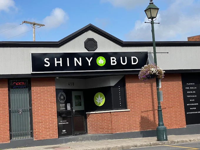 High Cannabis - High Cannabis - Cornwall store front