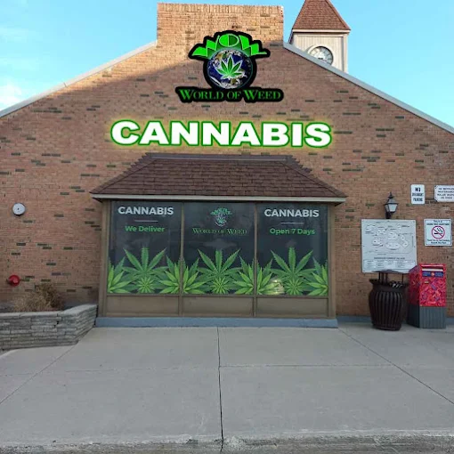WOW World of Weed - WOW World of Weed - East Mississauga store front