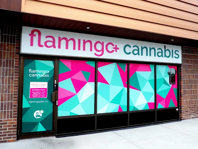 Flamingo + Cannabis - Pembina Hwy store front