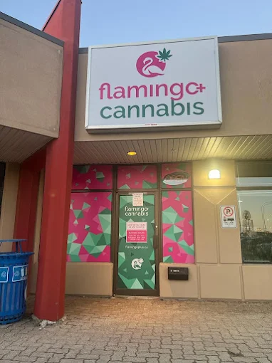 Flamingo + Cannabis - Regent Ave store front