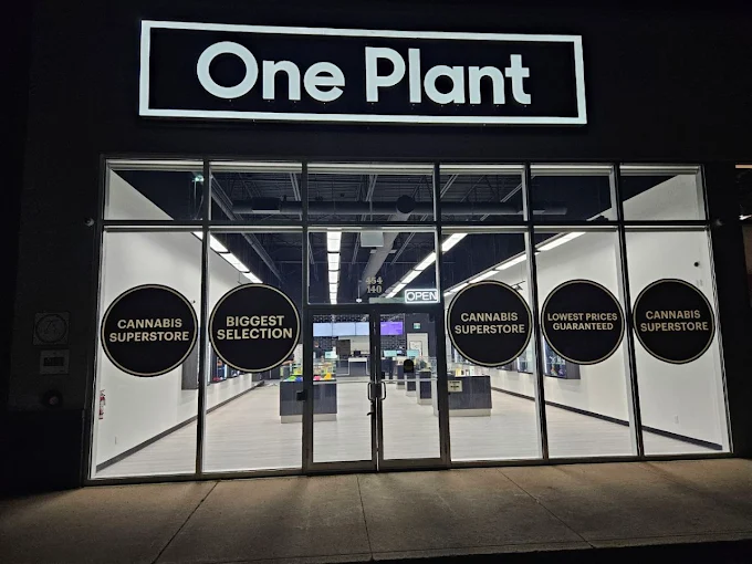 One Plant - One Plant - Hawkesbury store front