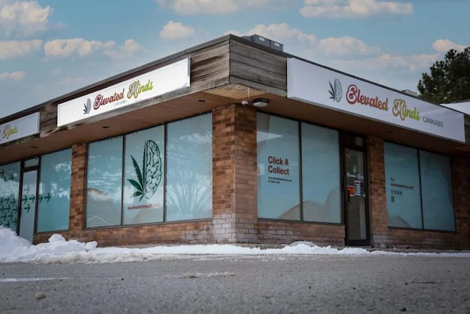 Elevated Minds - Elevated Minds store front