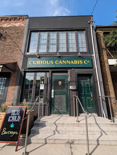 The Curious Cannabis Co. - The Curious Cannabis Co. store front