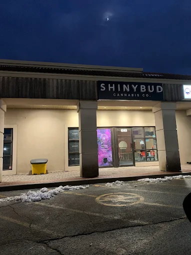 Shinybud Cannabis Co - Shinybud Cannabis Co - Brockville store front