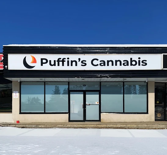 Puffin's Cannabis - Puffin's Cannabis store front