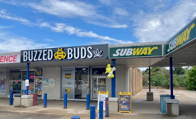 Buzzed Buds Co. - Buzzed Buds Co. - Mississauga store front