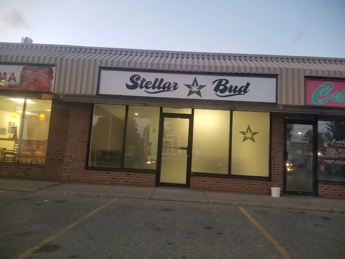 Stellar Bud - Stellar Bud - Woodstock store front
