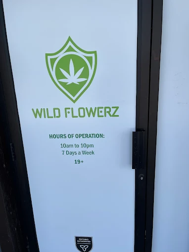 Wild Flowerz - Wild Flowerz store front