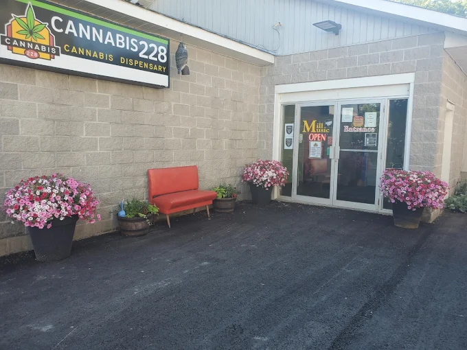 Cannabis 228 - Cannabis 228 store front