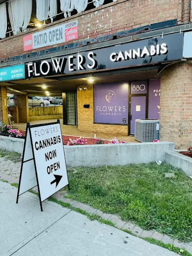 Flowers Cannabis - Flowers Cannabis store front