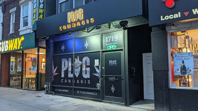 Plug Canna6is - Plug Canna6is - High Park store front