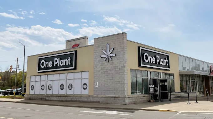 One Plant - One Plant - St. Catharines store front