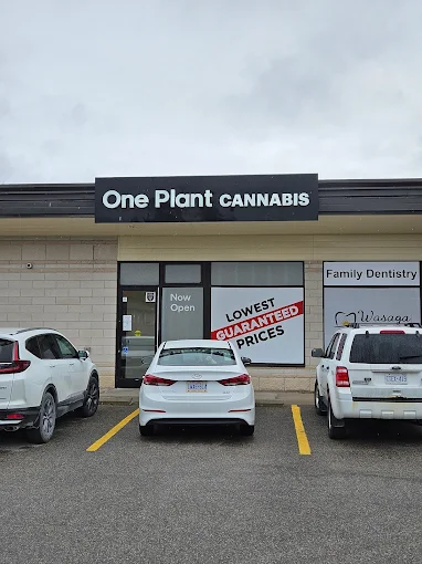 One Plant - Wasaga store front