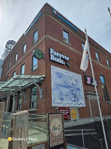 Forever Buds - Forever Buds store front