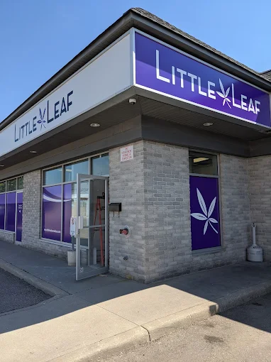 Little Leaf Cannabis Co. - Little Leaf Cannabis Co. store front