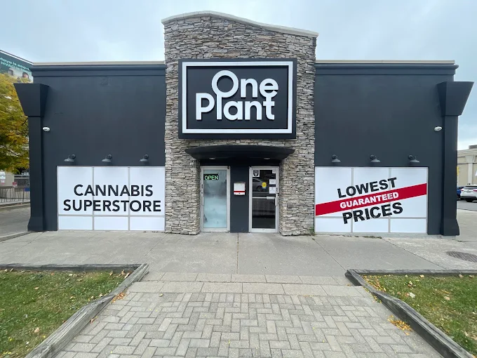 One Plant - One Plant - Etobicoke - Dundas store front