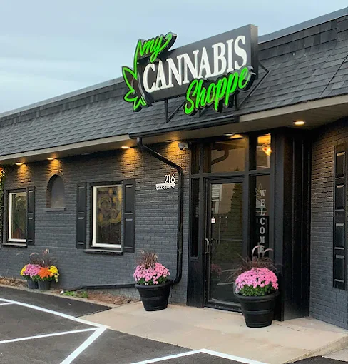 My Cannabis Shoppe - My Cannabis Shoppe store front