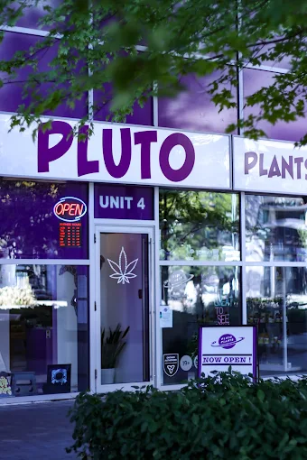 Pluto Plants - Pluto Plants - Etobicoke store front