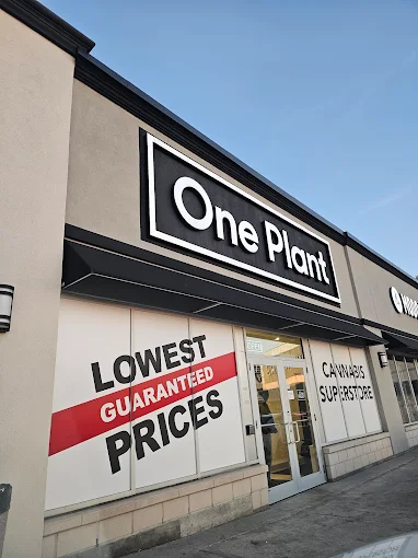 One Plant - One Plant - Scarborough store front