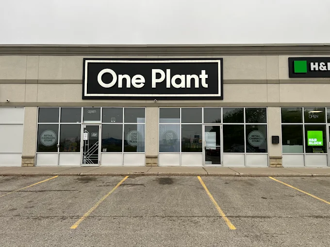 One Plant - One Plant - Strathroy store front