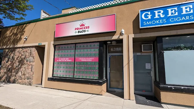 Princess Buds Inc. - Princess Buds Inc. store front