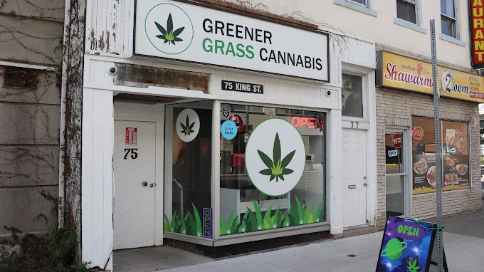 Greener Grass Cannabis - Greener Grass Cannabis store front