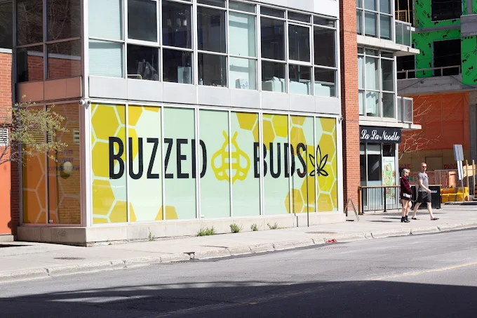 Buzzed Buds Co. - Ottawa Byward Market store front