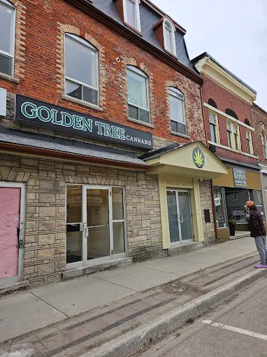 Golden Tree Cannabis - Golden Tree Cannabis - Palmerston store front