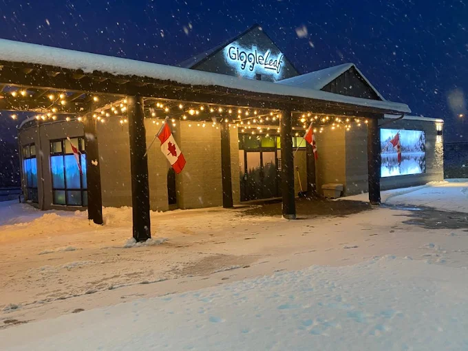 Giggle Leaf - Giggle Leaf store front