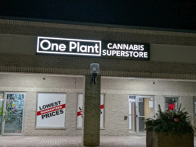 One Plant - One Plant - Perth store front