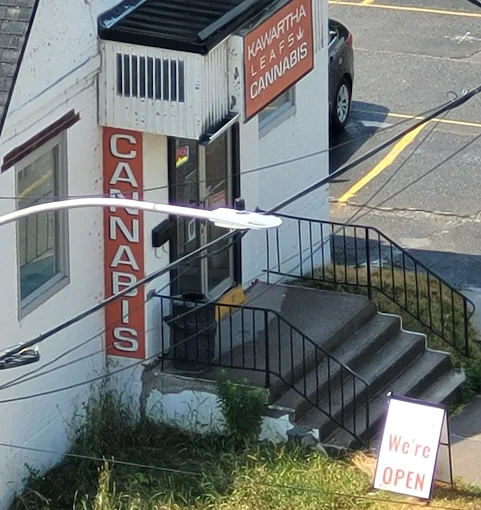 Kawartha Leafs - Kawartha Leafs - Water St store front