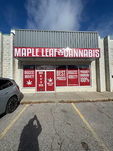Maple Leaf Cannabis - Maple Leaf Cannabis - Aurora store front