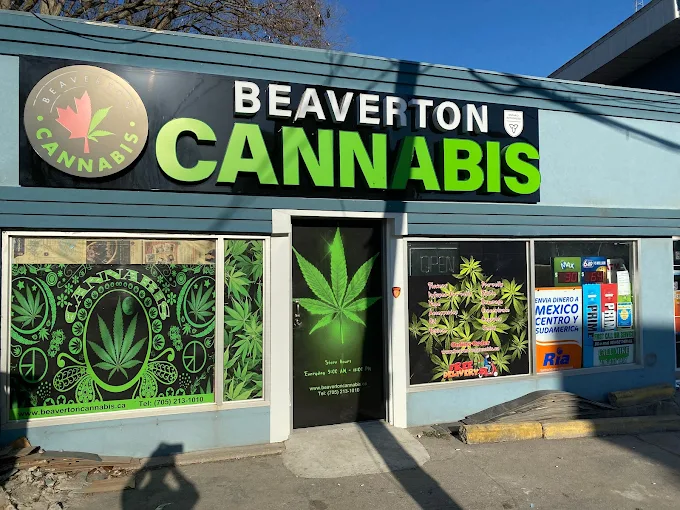 Beaverton Cannabis - Beaverton Cannabis -Beaverton store front