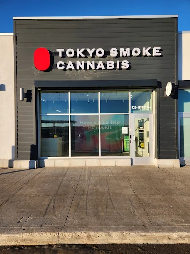 Tokyo Smoke - Tokyo Smoke - Humboldt 8th store front