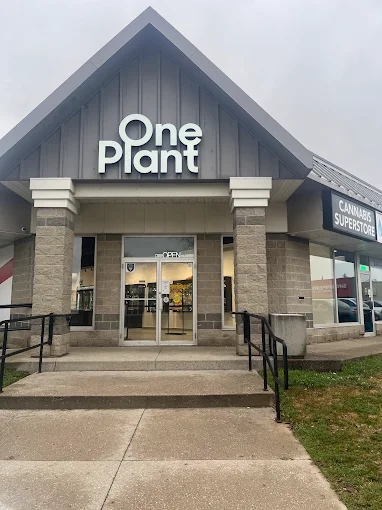 One Plant - One Plant - Ingersoll store front