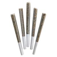 DEALR - Iced Zuchi Pre Roll