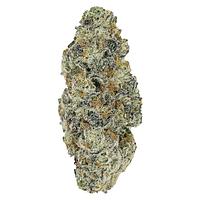 Pistol and Paris - Perma Fried