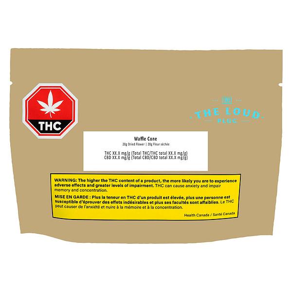 The Loud Plug - Waffle Cone image 2