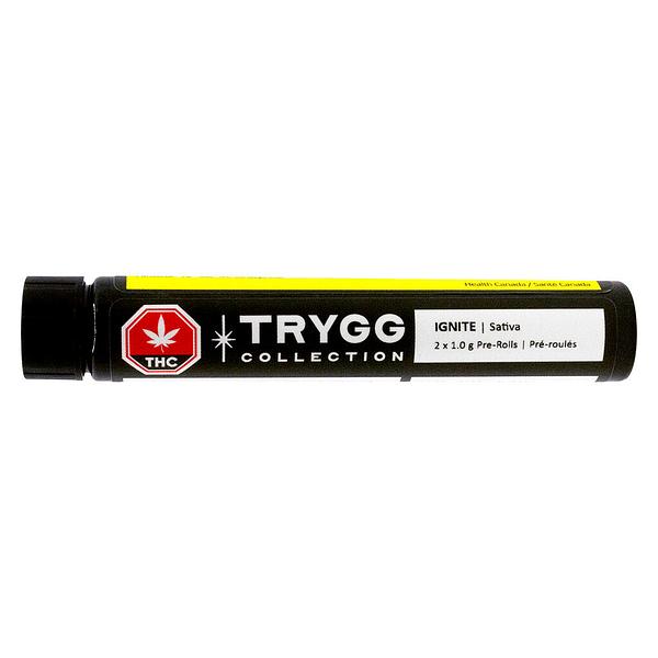TRYGG - Ignite Pre Roll