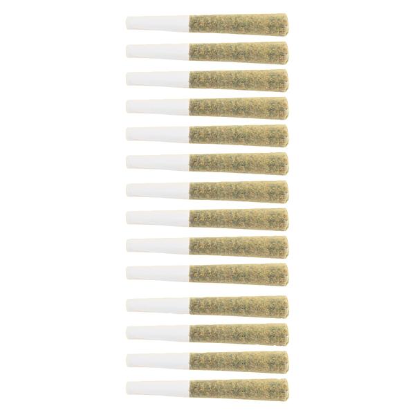 The Loud Plug - Platinum Punch Pre Roll