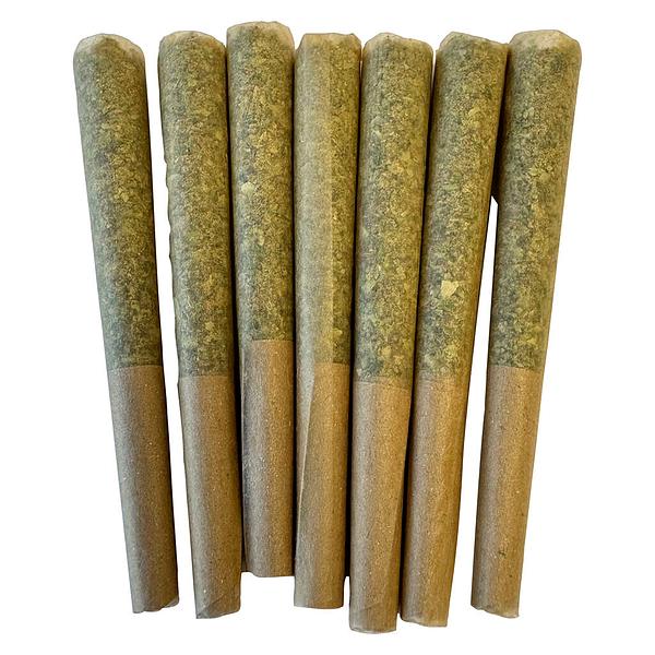 Noodz - Profile - Tropical Pre-roll image 1