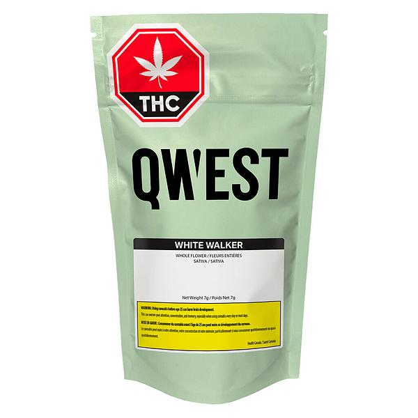 Qwest - White Walker Craft Whole Flower