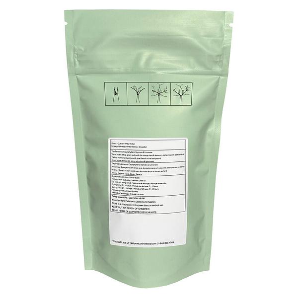 Qwest - White Walker Craft Whole Flower