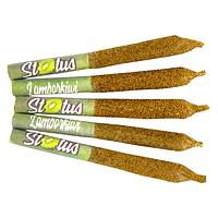 Status - Lamborkiwi Liquid Diamond Infused Kief Coated Pre-Roll