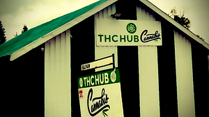 Highties Cannabis Store store front