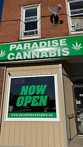 Paradise Cannabis - Carleton Place store front