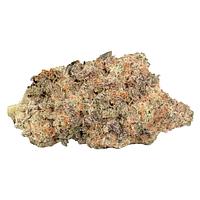 MELT - Midlife Crisis