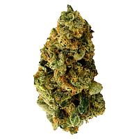 TERPi - Tropical Bliss